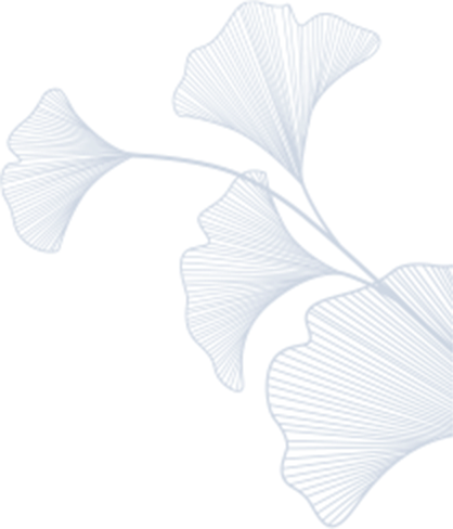 ico01